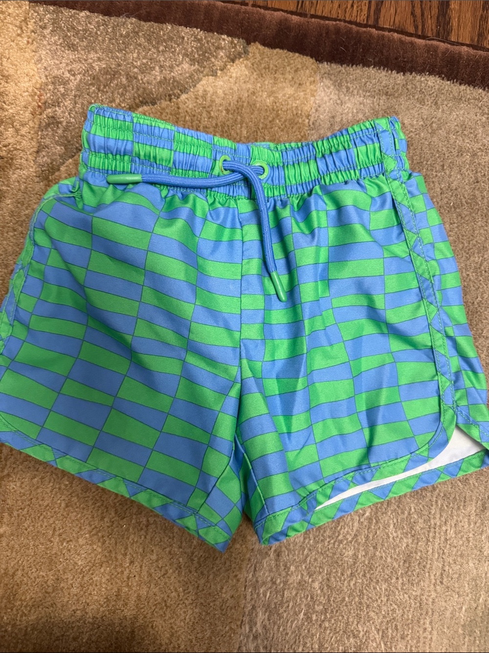 GAP Boys Blue and Green Stripe Swim Trunks
